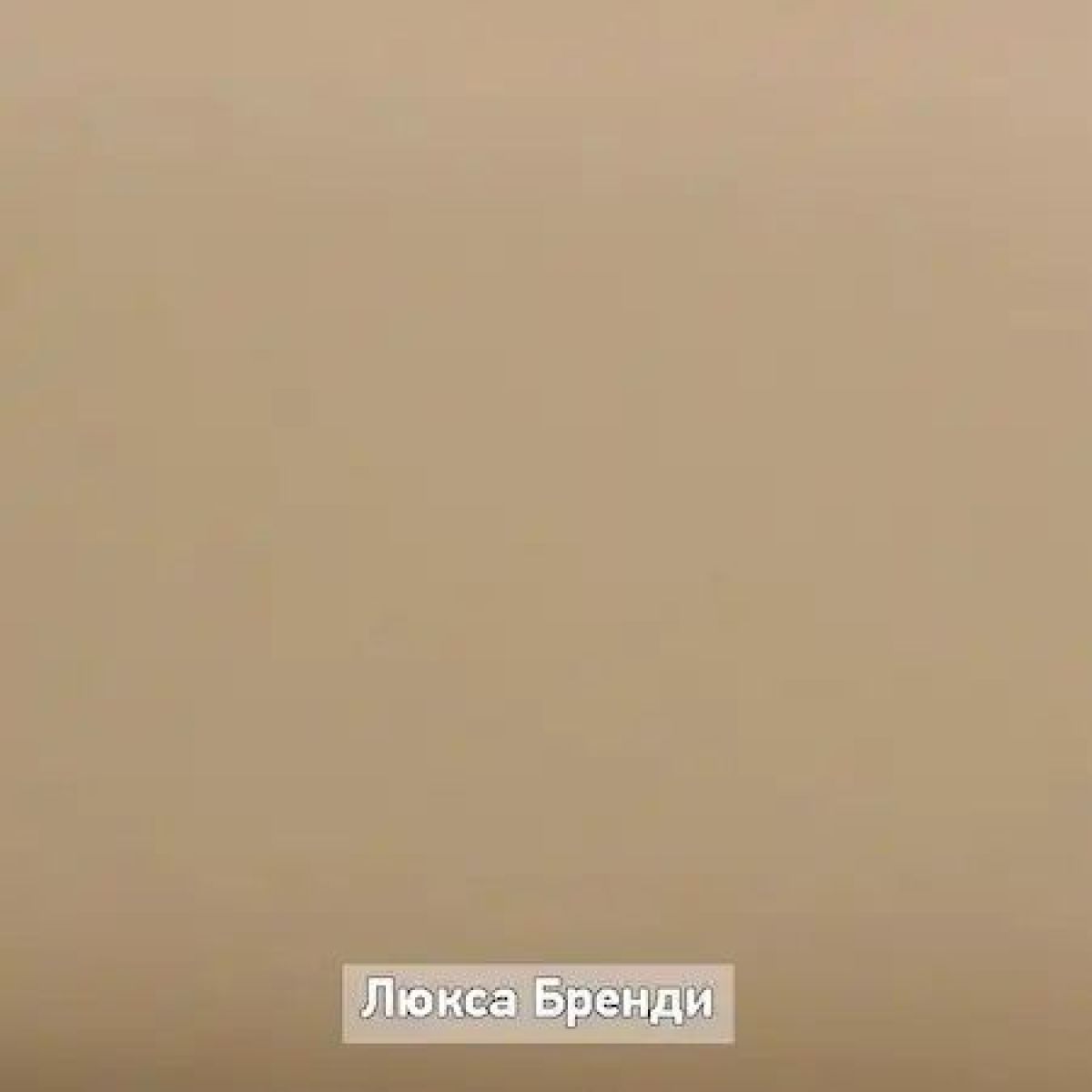 ОЛЬГА-ЛОФТ 2 Прихожая | фото 6