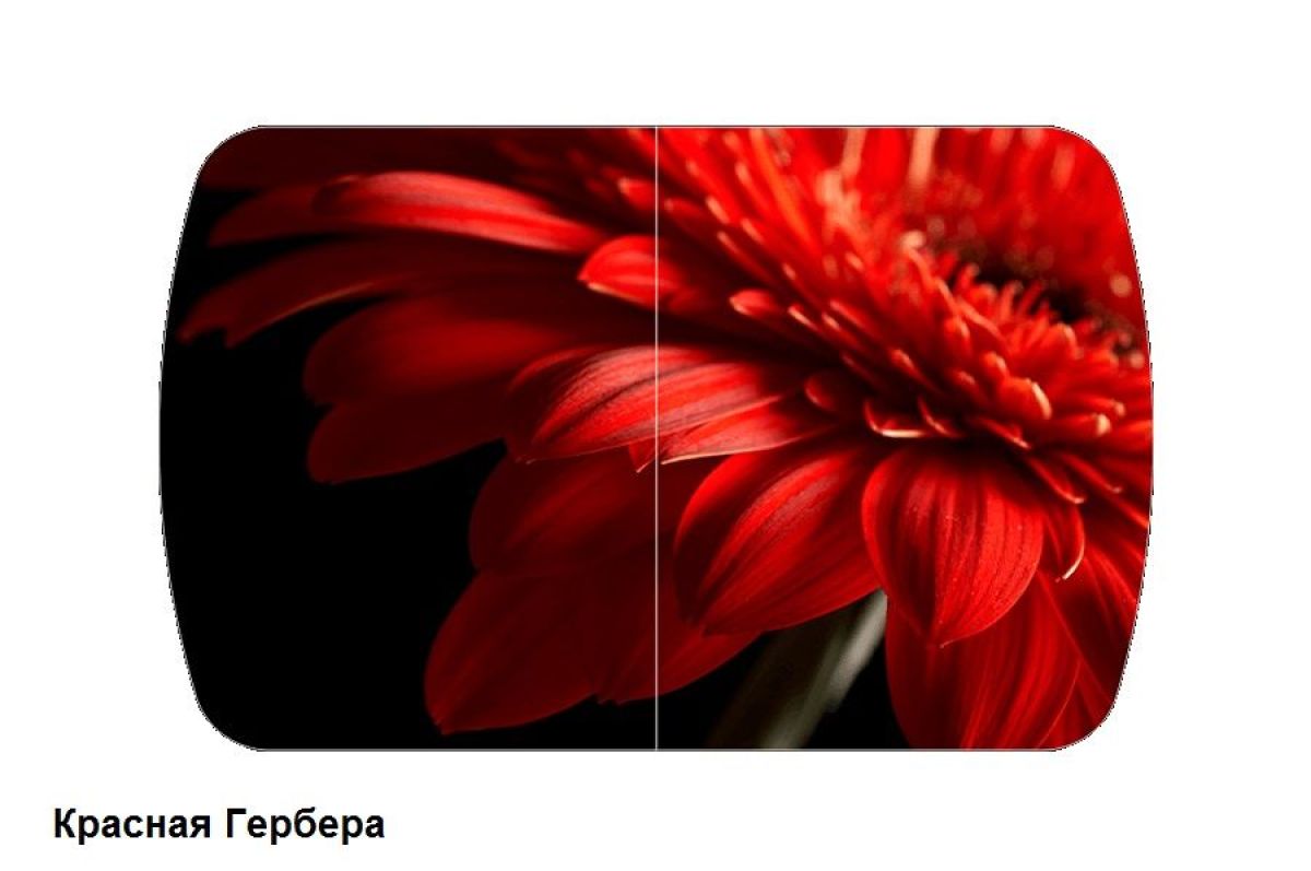 Стол Бостон (900*600) опоры Брифинг | фото 5