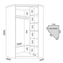 Шкаф-купе ХИТ-У-L-22-64-88 | фото 2