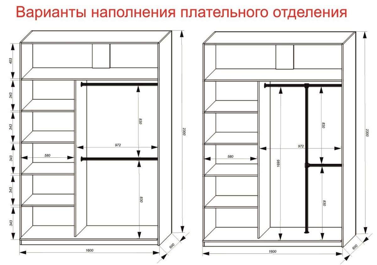 Шкаф-купе 1600 серии SOFT D6+D4+B2+PL2 (2 ящика+1штанга+1 полка) профиль «Капучино» | фото 9