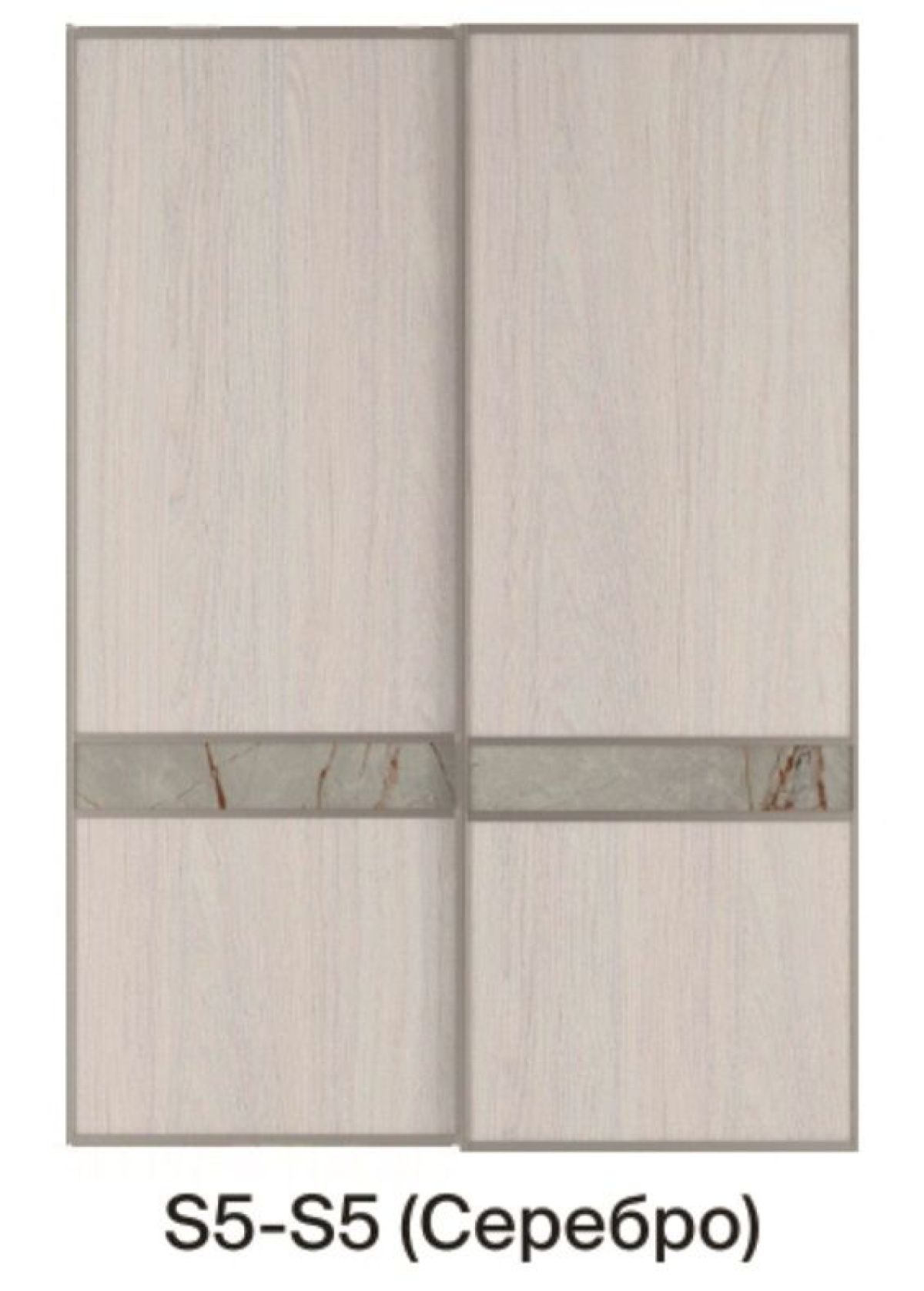 Шкаф-купе 1300 серии SILVER S5+S5+B2+PL3 (2 ящика+2 штанги) профиль «Серебро» | фото 10