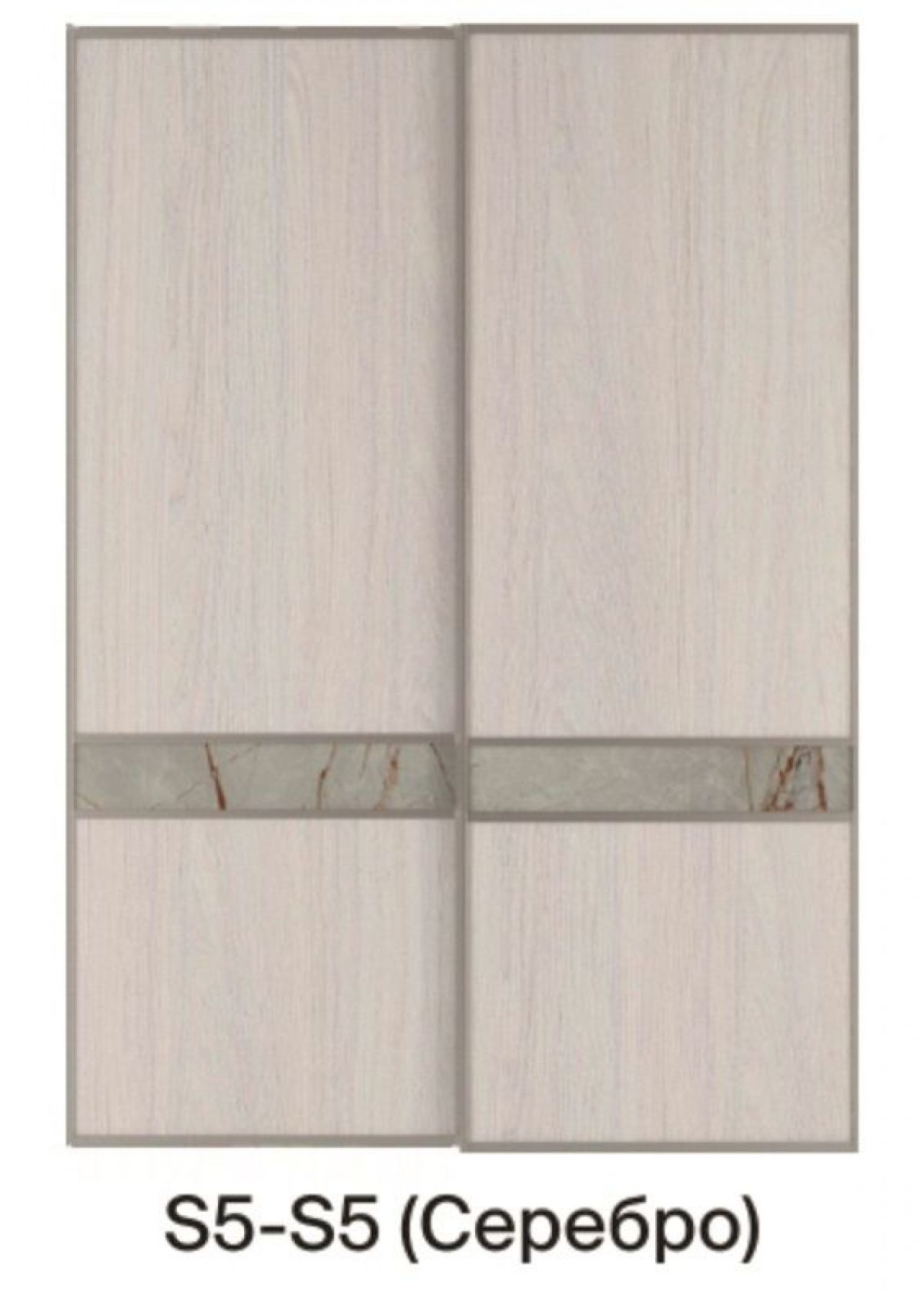 Шкаф-купе 1950 серии SILVER S5+S1+S5 B22+PL2 (по 2 ящика лев/прав+1 штанга+1 полка) профиль «Серебро» | фото 12