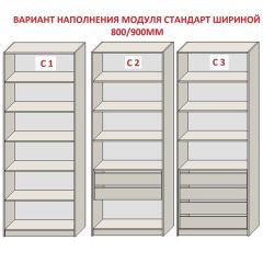 Шкаф распашной серия «ЗЕВС» (PL3/С1/PL2) Серый камень/Небраска натуральный | фото 6