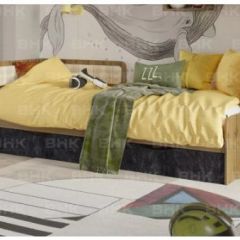 Подростковая Хогвартс (Дуб Вотан/Обсидиан) | фото 2