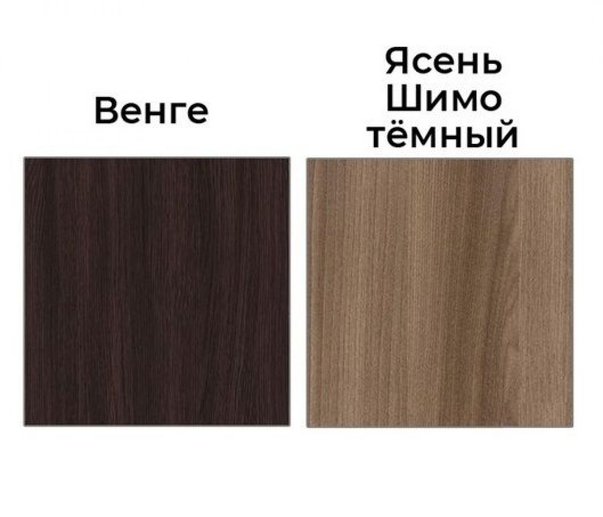 Шкаф-купе Рене 1500 вариант 3 (ЛДСП/Зеркало) | фото 2